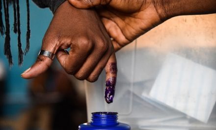 EC’s Decision To Abandon Indelible Ink Will Jeopardize Our Electoral System – AFAG