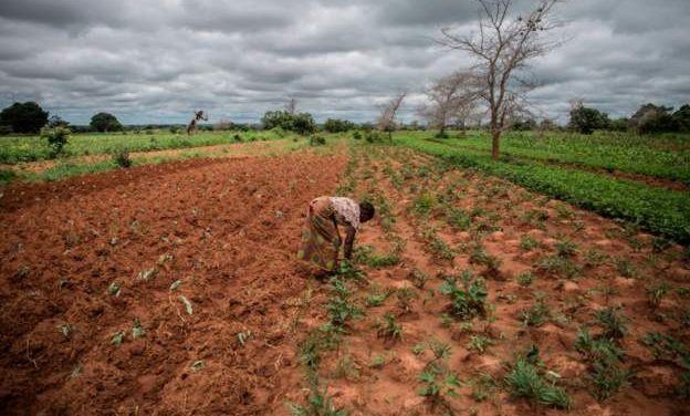 Zambia Declares National Emergency Over Drought