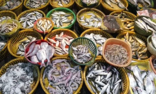 Nearly 15% Of Seafood Produced Globally In 2021 Wasted – WEF Report