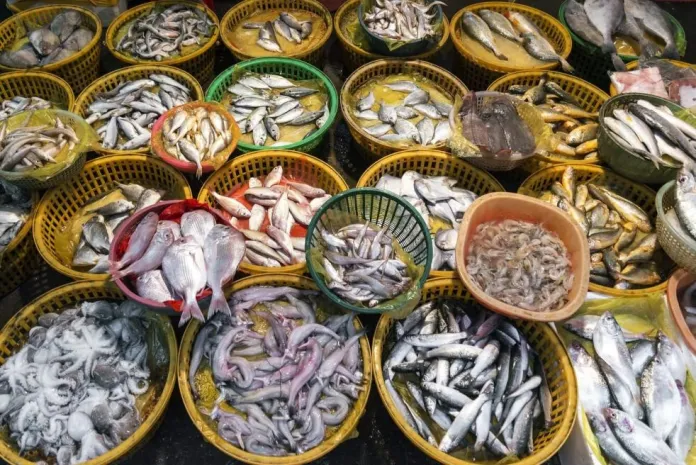 Nearly 15% Of Seafood Produced Globally In 2021 Wasted – WEF Report<span class="wtr-time-wrap after-title"><span class="wtr-time-number">3</span> min read</span>