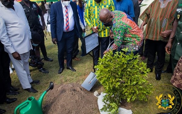 Akufo-Addo: Green Ghana Day Key To Securing A Sustainable Future<span class="wtr-time-wrap after-title"><span class="wtr-time-number">2</span> min read</span>