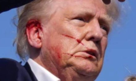 Donald Trump injured in rally assassination attempt