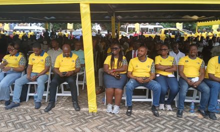 MoMo @ 15: Protect Your PIN To Ward Off Fraudsters – MTN