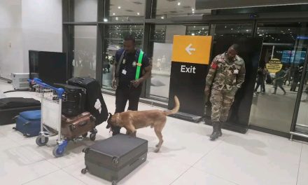 Passenger Detained After Smoking Luggage Sparks Evacuation at Kotoka Airport