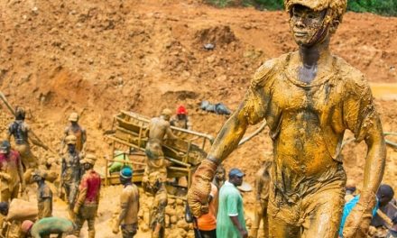 Breast Society of Ghana Calls for End to Galamsey