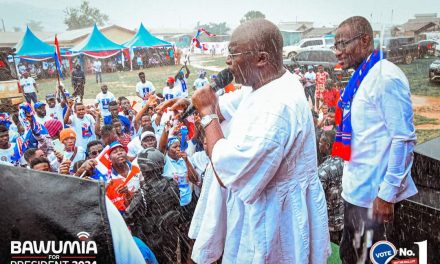 No LGBTQ+ Acceptance in My Administration – Bawumia